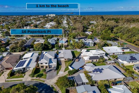 Property photo of 16 Paperbark Place Mudjimba QLD 4564