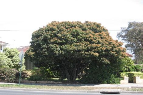 Property photo of 114 Springvale Road Nunawading VIC 3131