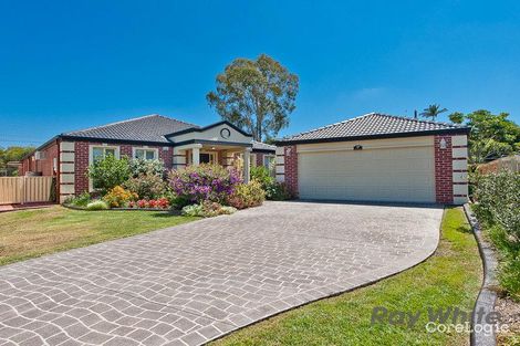 Property photo of 17 Rufus Court Albany Creek QLD 4035