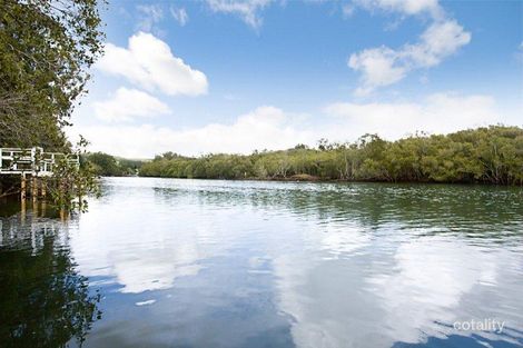 Property photo of 19 Chown Avenue Currumbin Waters QLD 4223