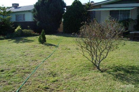 Property photo of 113 Cassin Street Wyalong NSW 2671