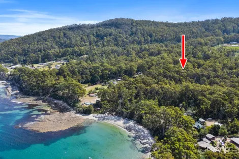 Property photo of 321 Pirates Bay Drive Eaglehawk Neck TAS 7179
