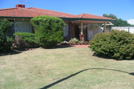 17 River Fig Pl, Alexander Heights, WA 6064