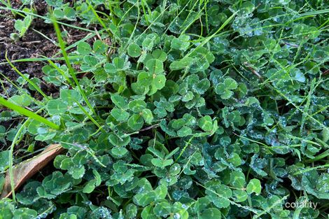 228 Sturdee Rd, Mount Barker, WA 6324