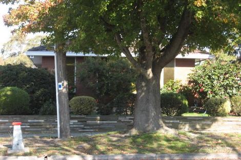 48 Orange St, Bentleigh East, VIC 3165