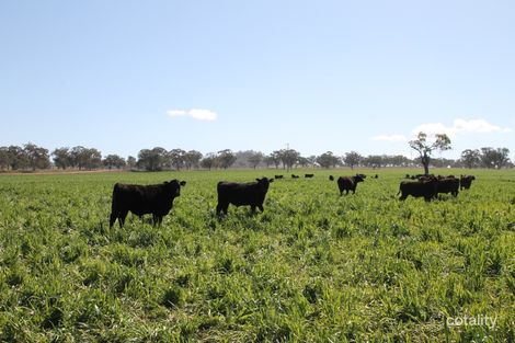 264 Black Gully Rd, Werris Creek, NSW 2341