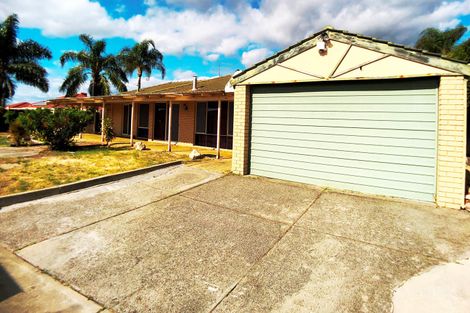 Property photo of 18 River Fig Place Alexander Heights WA 6064