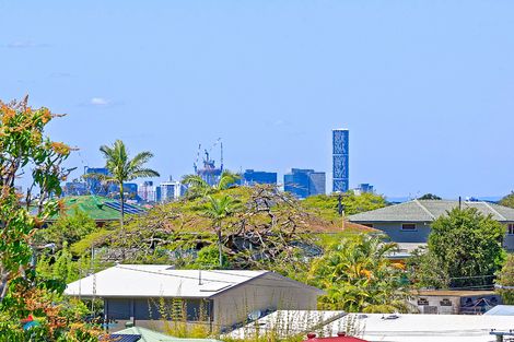 Property photo of 65 Fallon Street Everton Park QLD 4053