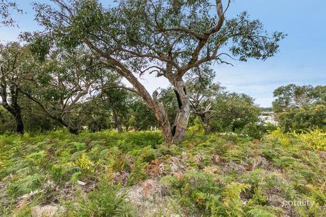 Property photo of 5 Narani Way Fairhaven VIC 3231