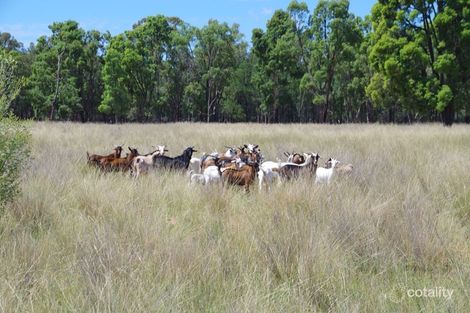 225 Tuppiari Rd, Jacks Creek, NSW 2390