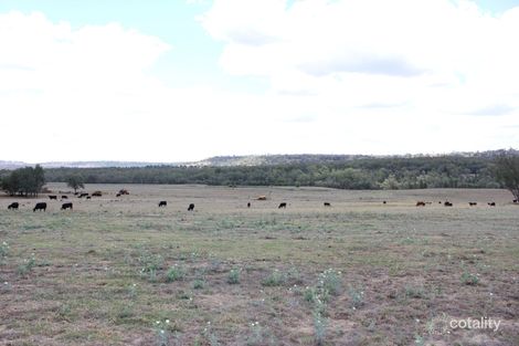 128 Tolga Rd, Warialda, NSW 2402