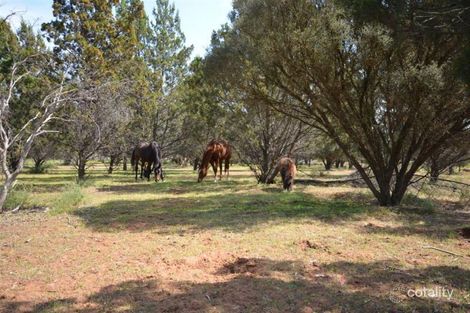 Property photo of 97 Hartmann Road Monarto SA 5254