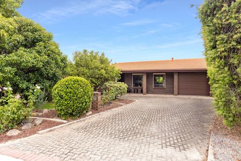 3 Sprankling Ave, Newton, SA 5074
