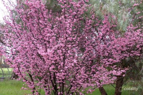 194 Foxton Dr, Oakford, WA 6121