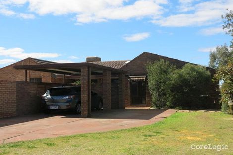 Property photo of 14B Tricourt Grove Riverton WA 6148