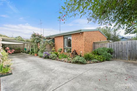 1/16 Beaver St, Ocean Grove, VIC 3226