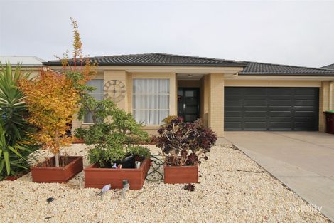 Property photo of 12 Lemon Grove Cranbourne West VIC 3977