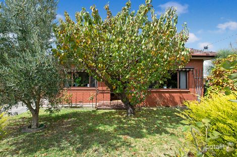 Property photo of 44 Newcastle Street Preston VIC 3072