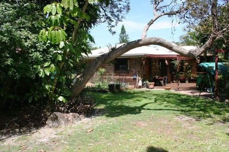Property photo of 19 Belongil Crescent Byron Bay NSW 2481