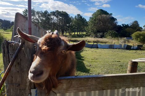 Property photo of 1 Carbin Street Bowraville NSW 2449