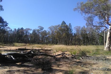 9295 Newell Hwy, Coonabarabran, NSW 2357