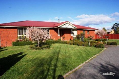 Property photo of 43 Grigg Street Deloraine TAS 7304