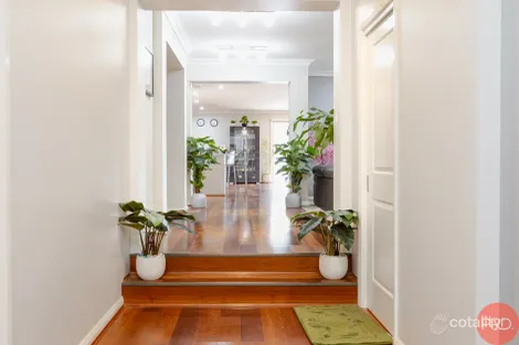 Property photo of 3 Makoro Street Fletcher NSW 2287