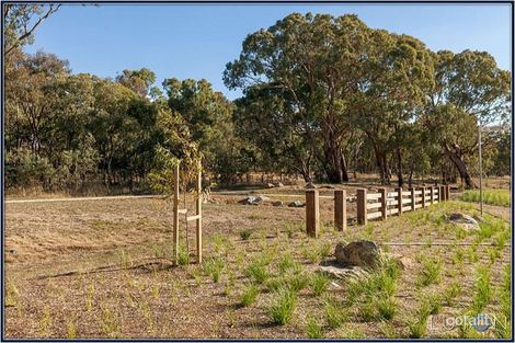 Property photo of 131 Amy Ackman Street Forde ACT 2914