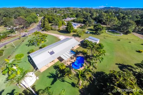 Property photo of 37 Curry Court Cooroy QLD 4563