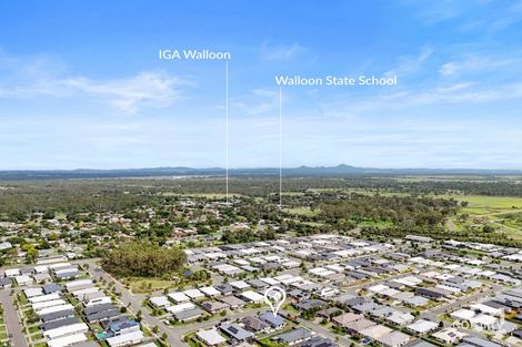 Property photo of 7 Alexander Street Walloon QLD 4306