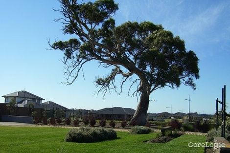 Property photo of 84 Sandhurst Boulevard Sandhurst VIC 3977