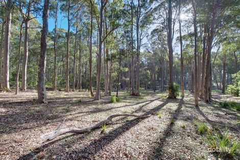 Property photo of 45 Murramarang Crescent South Durras NSW 2536