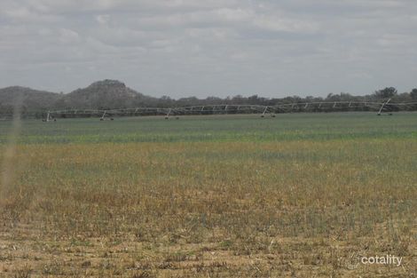 826 Wowan-Dululu Rd, Dululu, QLD 4702