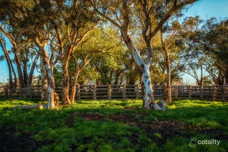 Property photo of 189 Hillyfields Road Kangarilla SA 5157