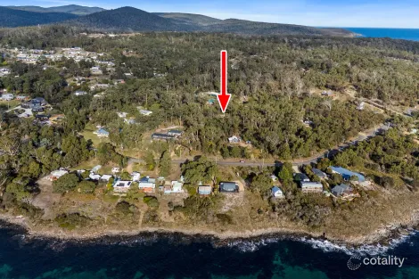 Property photo of 573 White Beach Road White Beach TAS 7184
