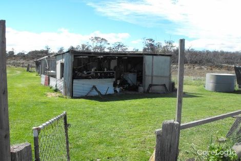 Property photo of 10254 Tasman Highway Little Swanport TAS 7190