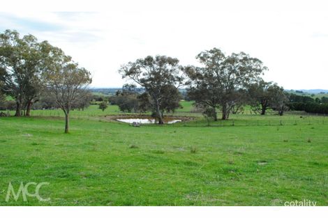 Property photo of 38 Offner Road Borenore NSW 2800