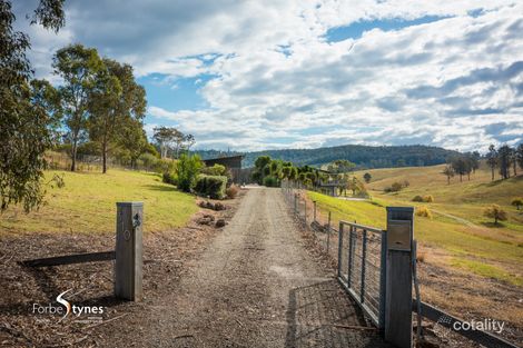 Property photo of 310 Bald Hills Road Bald Hills NSW 2549