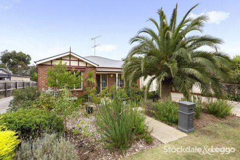 1/11 Fairview Ct, Drysdale, VIC 3222
