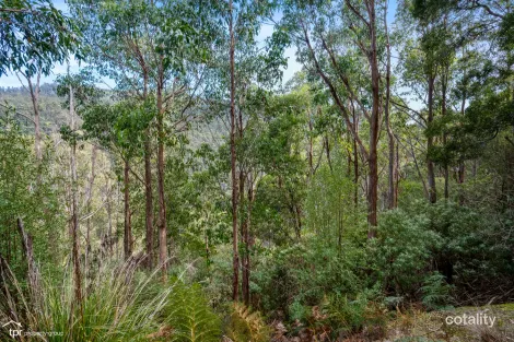 579 Judds Creek Rd, Judbury, TAS 7109
