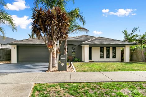 Property photo of 12 Donegal Avenue Traralgon VIC 3844