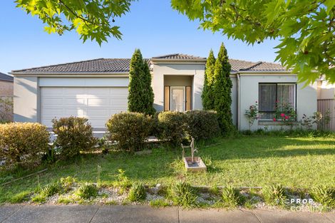 Property photo of 24 Palmer Avenue Point Cook VIC 3030