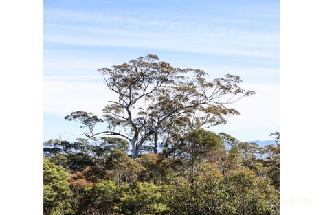 Property photo of 1045 Myrtle Mountain Road Myrtle Mountain NSW 2550