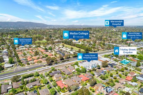 Property photo of 7 Kallay Street Croydon VIC 3136