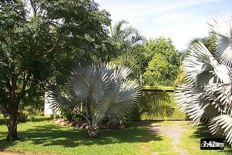 Property photo of 7 Primo Street Freshwater QLD 4870