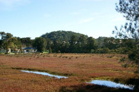 17 Mirreen Ave, Davistown, NSW 2251