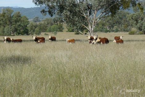 2518 Caroda Rd, Elcombe, NSW 2404