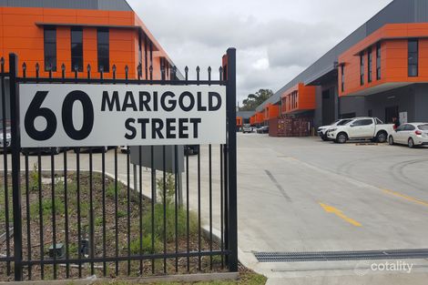 6/60 Marigold St, Revesby, NSW 2212