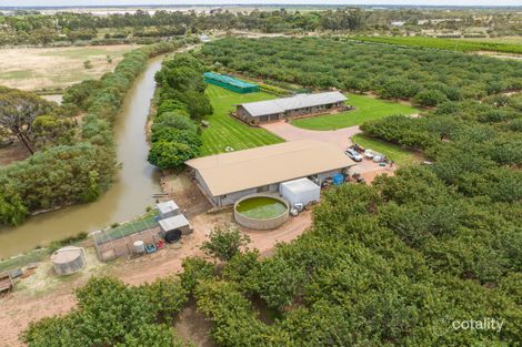 23 Willox Rd, Swan Hill, VIC 3585