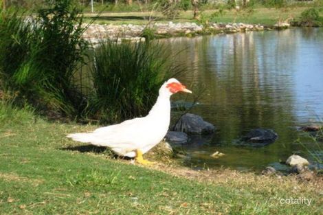 Property photo of 57 The Oaks Road Tannum Sands QLD 4680